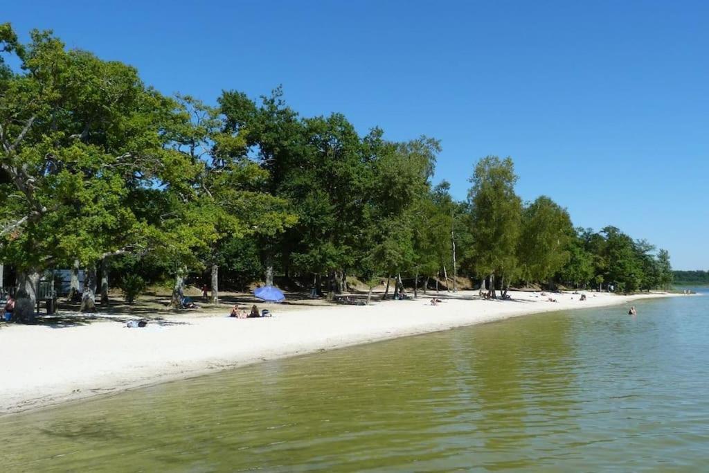 Charming In The Forest, With Heated Pool * Cerdon (Loiret)