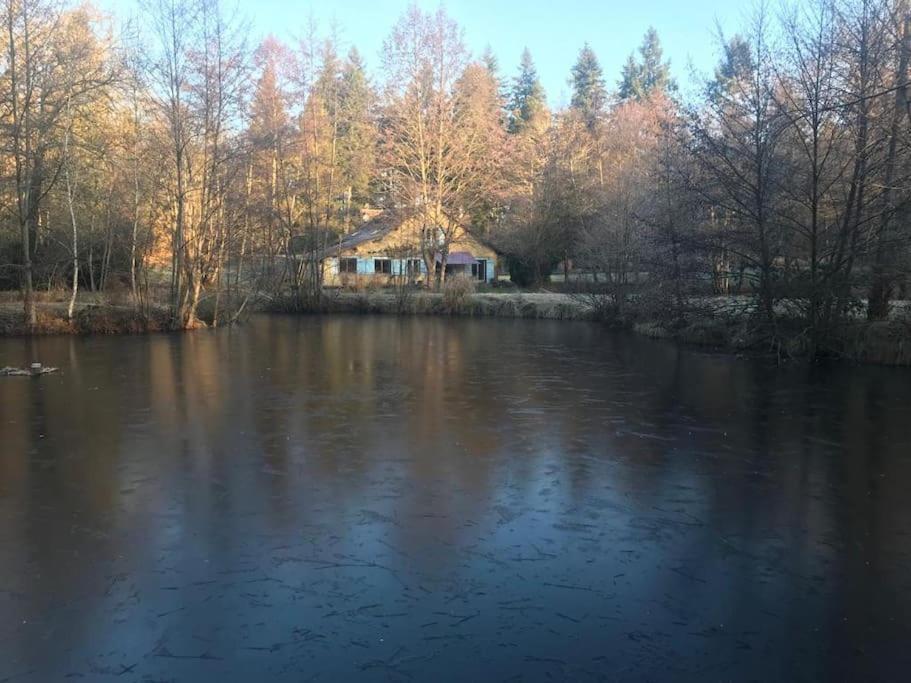 Charming In The Forest, With Heated Pool * Cerdon (Loiret)