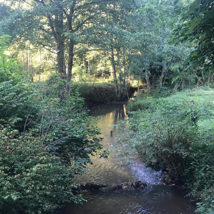 Charming In The Forest, With Heated Pool *